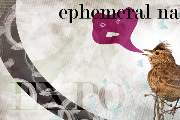 Xperimental graphic design